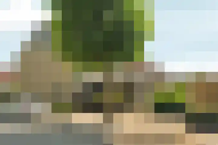 Kalmoespad 5 Almere thumbnail 44