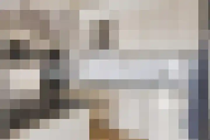 Kalmoesplein 26 Eindhoven thumbnail 14