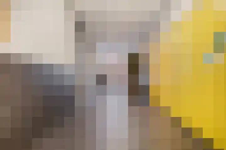 Kalmoesplein 26 Eindhoven thumbnail 7