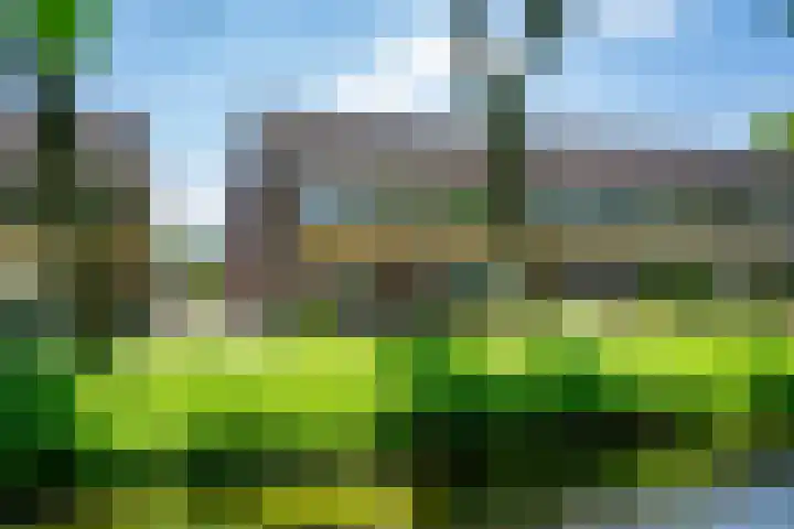 Kalmoessingel 32 Kampen thumbnail 10