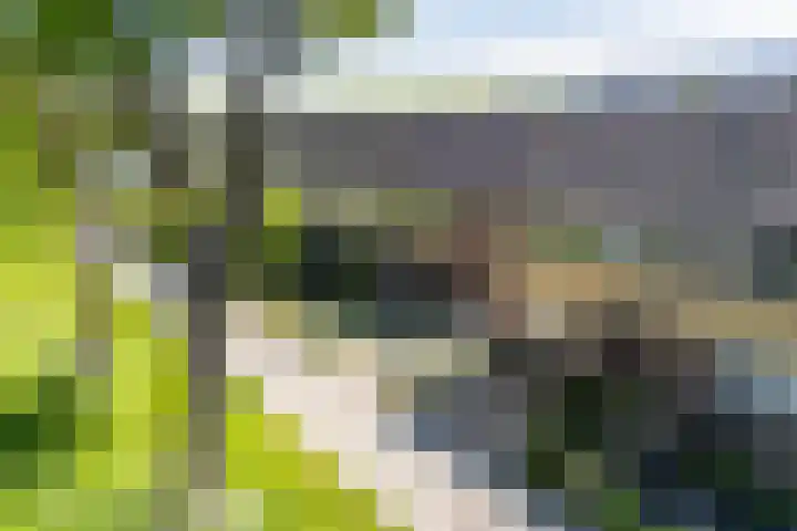 Kalmoessingel 32 Kampen thumbnail 13