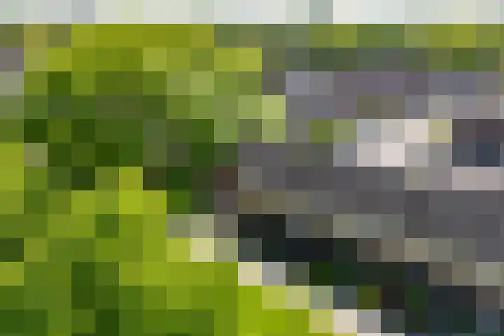 Kalmoessingel 32 Kampen thumbnail 14
