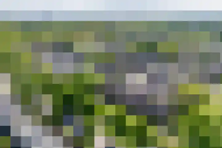 Kalmoessingel 32 Kampen thumbnail 15