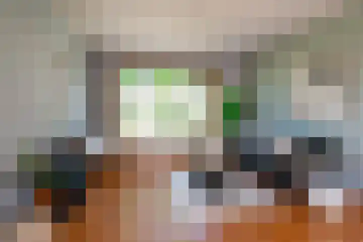 Kalmoessingel 32 Kampen thumbnail 19