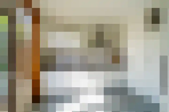 Kalmoessingel 32 Kampen thumbnail 26