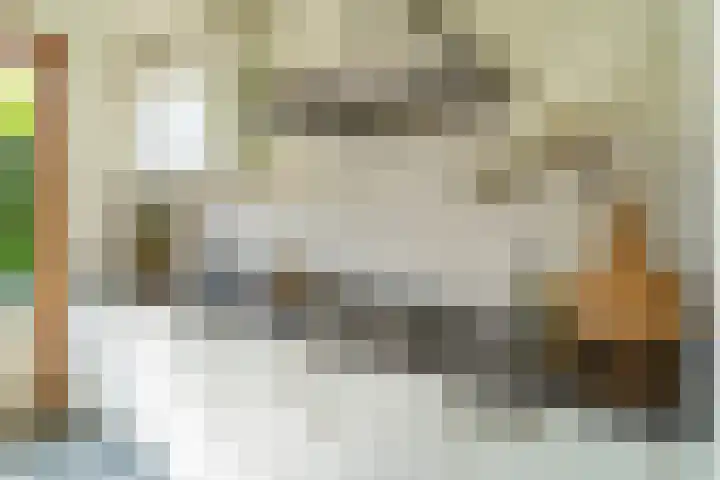 Kalmoessingel 32 Kampen thumbnail 28