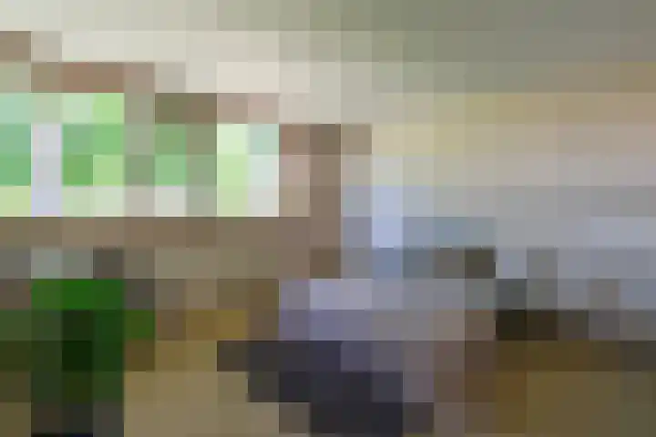 Kalmoessingel 32 Kampen thumbnail 34