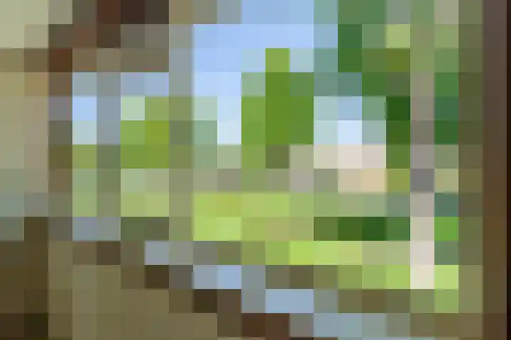 Kalmoessingel 32 Kampen thumbnail 35