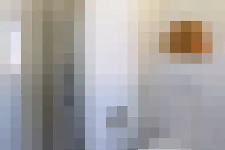 Kalmoessingel 32 Kampen thumbnail 38
