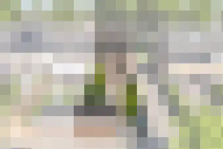 Kalmoessingel 32 Kampen thumbnail 48