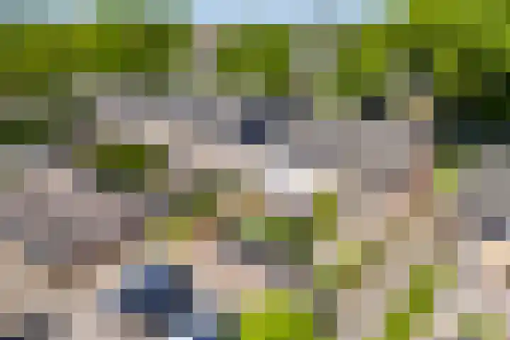 Kalmoessingel 32 Kampen thumbnail 49