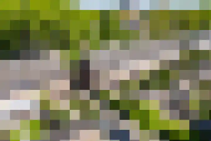 Kalmoessingel 32 Kampen thumbnail 51