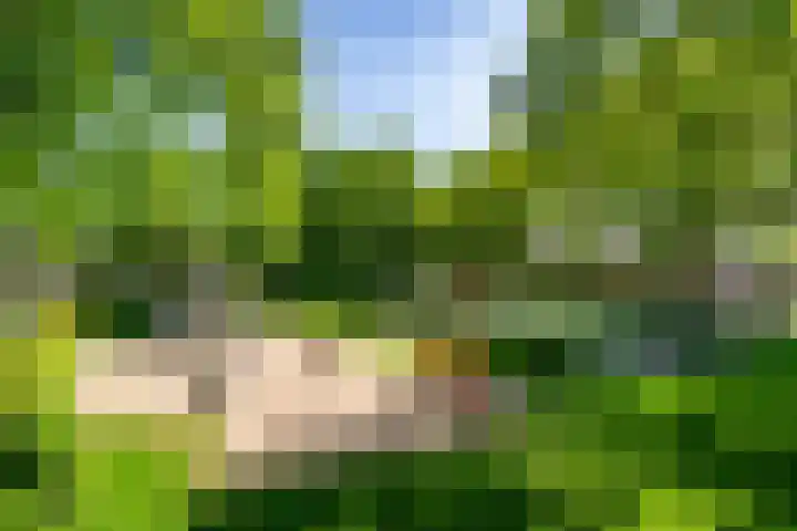 Kalmoessingel 32 Kampen thumbnail 53