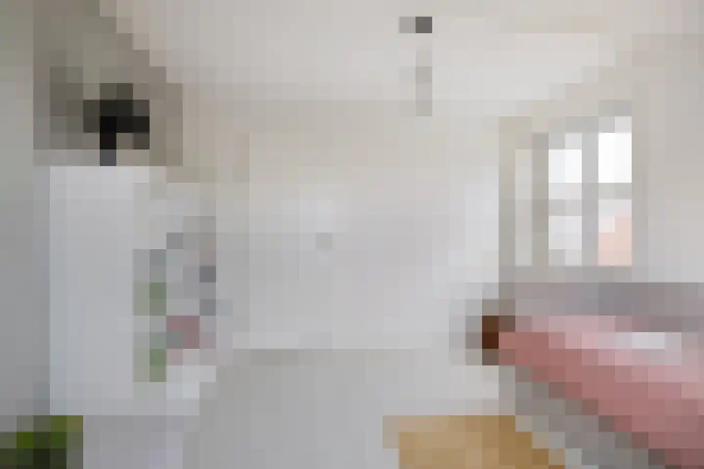 Kalmoesstraat 1 Groningen thumbnail 32