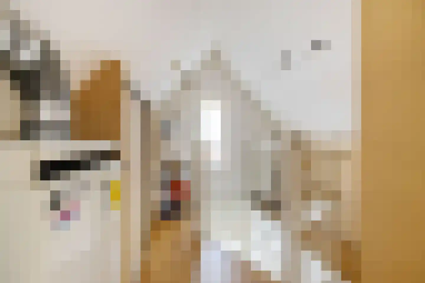 Kalmoesstraat 1 Groningen thumbnail 44