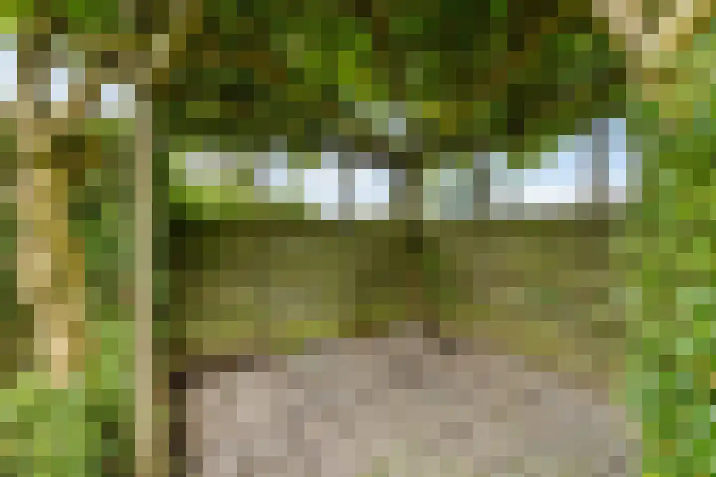 Kalmoesstraat 1 Groningen thumbnail 56