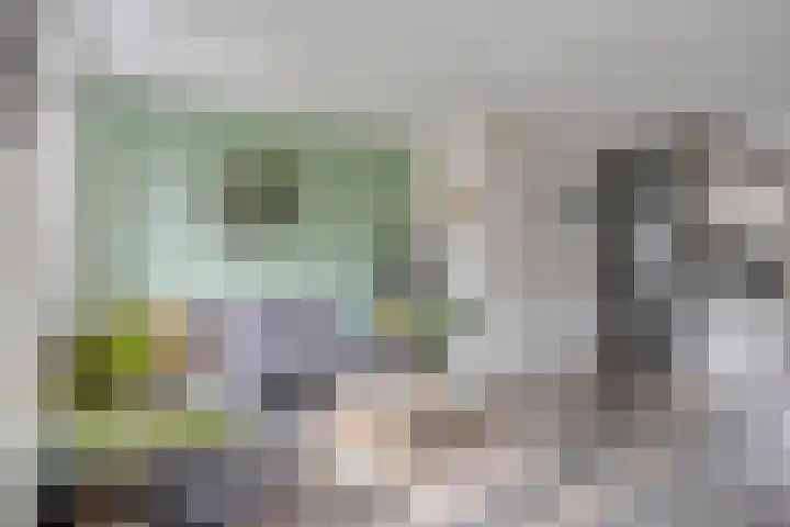 Kalmoesstraat 10 Heerhugowaard thumbnail 13