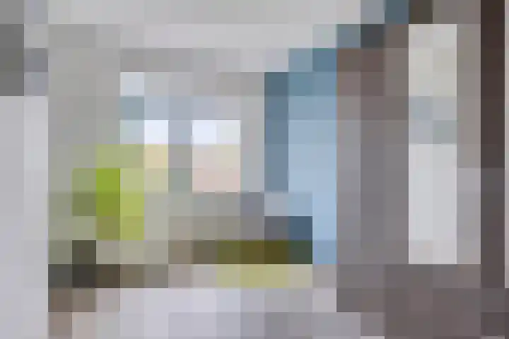 Kalmoesstraat 10 Heerhugowaard thumbnail 23