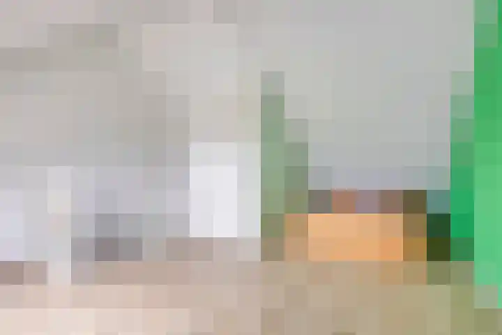 Kalmoesstraat 10 Heerhugowaard thumbnail 30