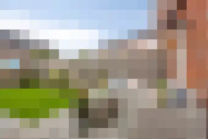 Kalmoesstraat 10 Heerhugowaard thumbnail 33