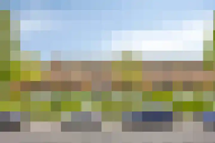 Kalmoesstraat 10 Heerhugowaard thumbnail 37