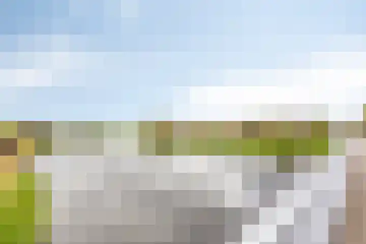 Kalmoesstraat 10 Heerhugowaard thumbnail 39