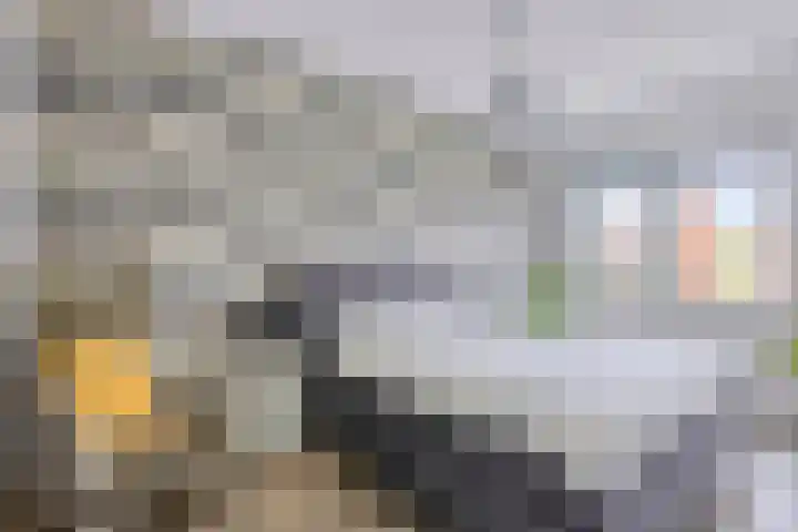 Kalmoesstraat 10 Heerhugowaard thumbnail 4