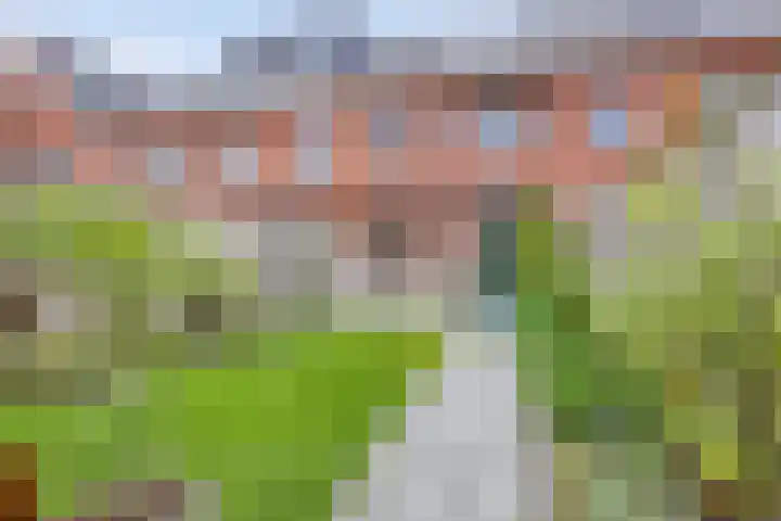 Kalmoesstraat 10 Heerhugowaard thumbnail 6