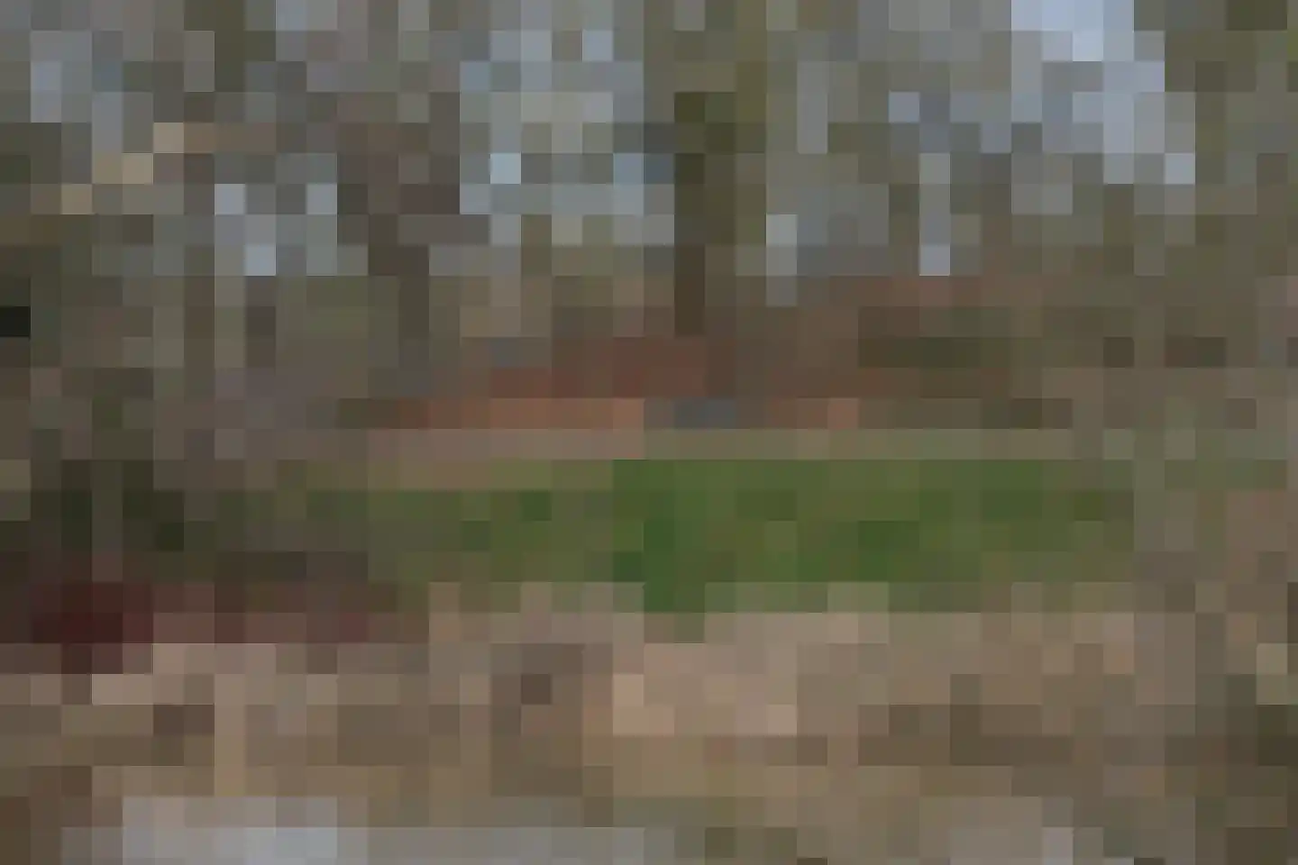 Kalmoesstraat 115 Apeldoorn thumbnail 41