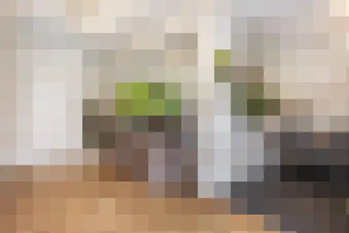 Kalmoesstraat 12 Apeldoorn thumbnail 11