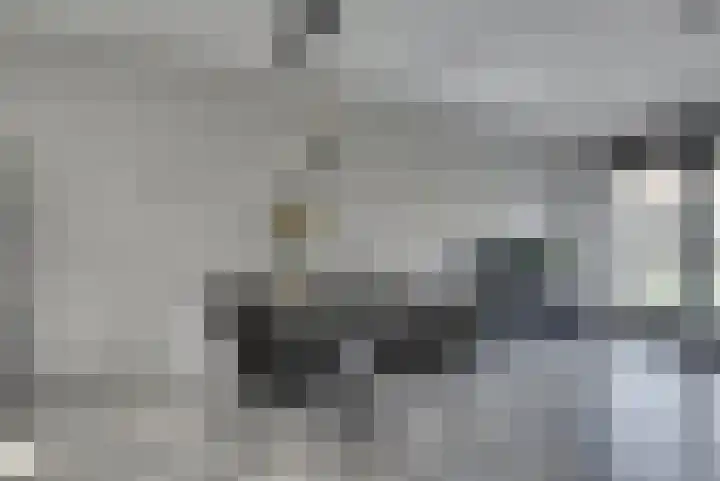 Kalmoesstraat 12 Heerhugowaard thumbnail 11