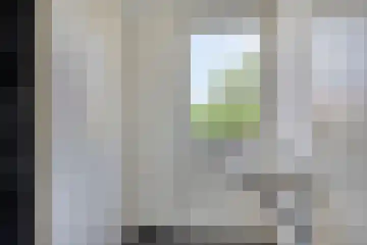 Kalmoesstraat 132 Eindhoven thumbnail 20