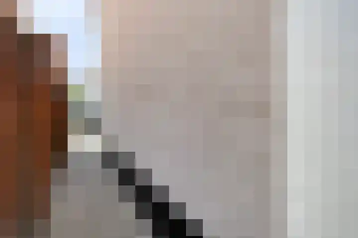 Kalmoesstraat 132 Eindhoven thumbnail 28