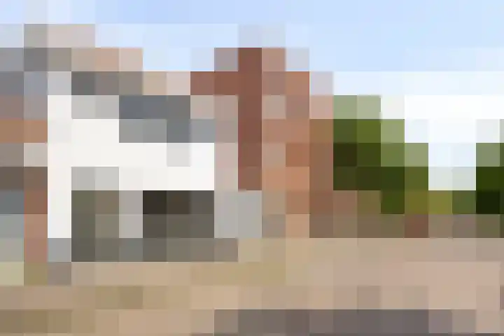 Kalmoesstraat 132 Eindhoven thumbnail 29