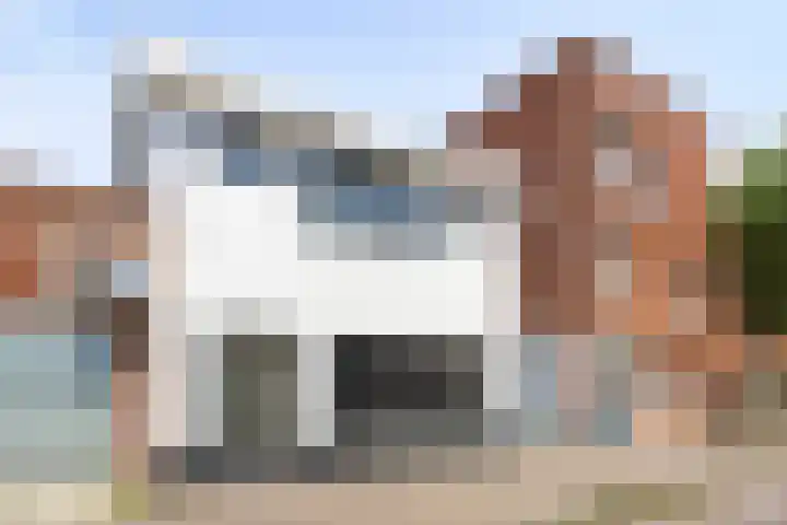 Kalmoesstraat 132 Eindhoven thumbnail 30