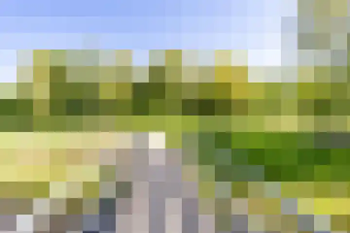 Kalmoesstraat 15 Groningen thumbnail 10