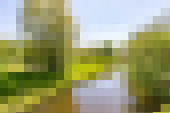 Kalmoesstraat 15 Groningen thumbnail 11