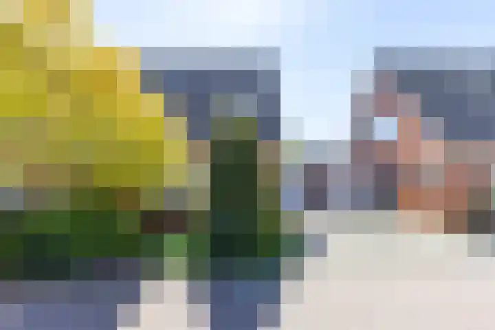 Kalmoesstraat 15 Groningen thumbnail 12
