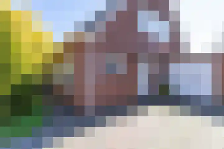 Kalmoesstraat 15 Groningen thumbnail 15
