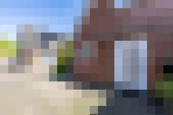 Kalmoesstraat 15 Groningen thumbnail 18
