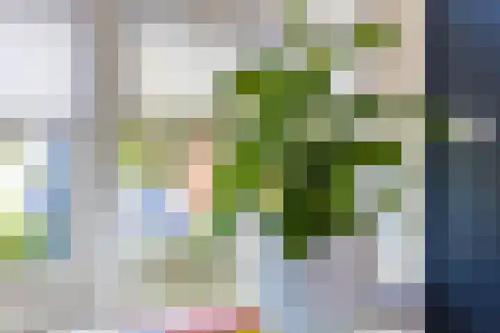 Kalmoesstraat 15 Groningen thumbnail 29