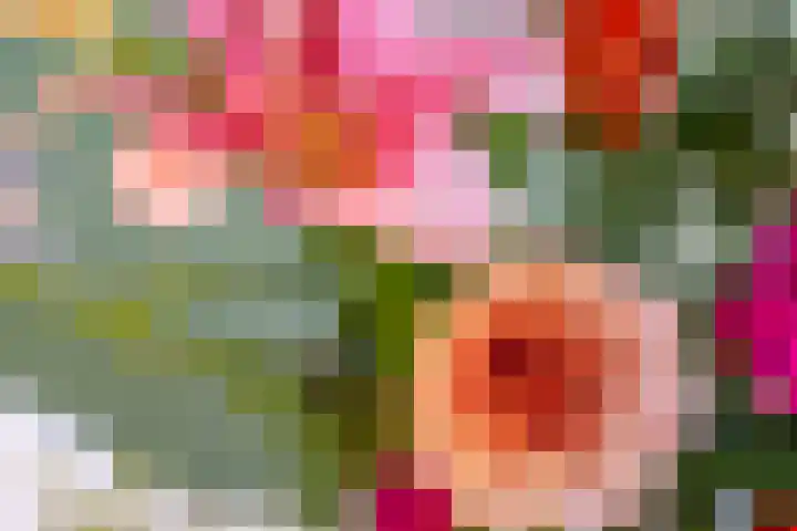 Kalmoesstraat 15 Groningen thumbnail 30