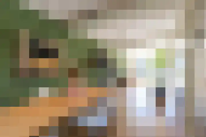 Kalmoesstraat 15 Groningen thumbnail 31