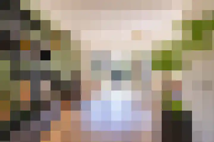 Kalmoesstraat 15 Groningen thumbnail 32