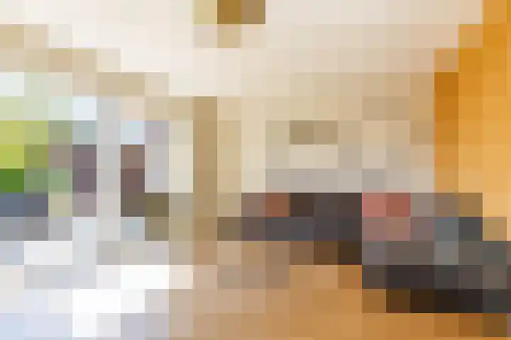 Kalmoesstraat 15 Groningen thumbnail 34