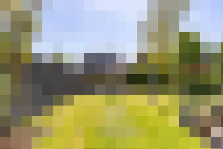 Kalmoesstraat 15 Groningen thumbnail 42