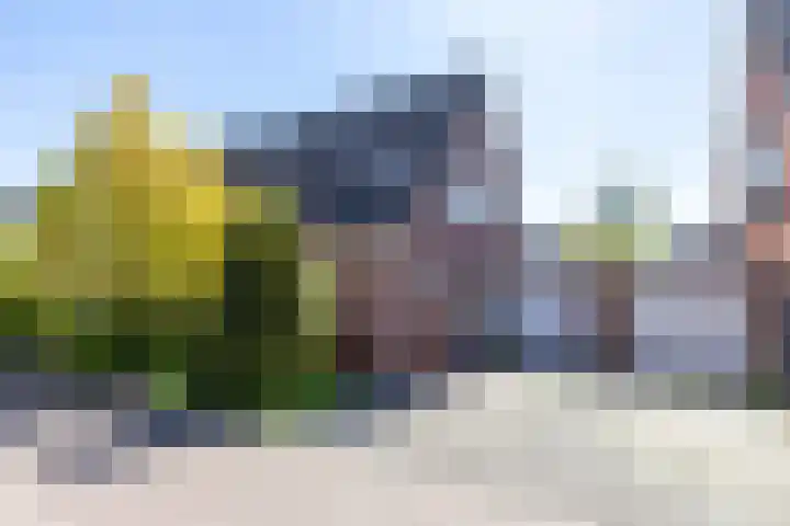 Kalmoesstraat 15 Groningen thumbnail 7