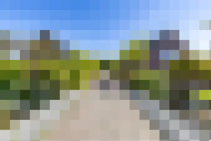 Kalmoesstraat 15 Groningen thumbnail 8