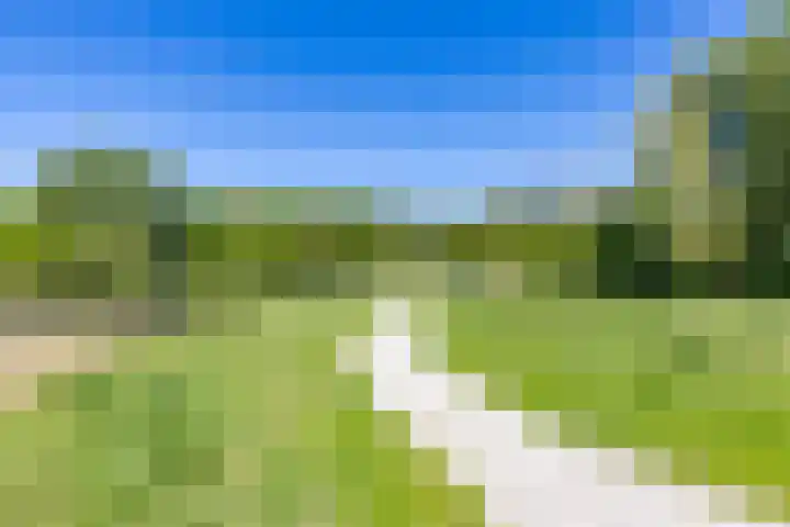 Kalmoesstraat 15 Groningen thumbnail 9