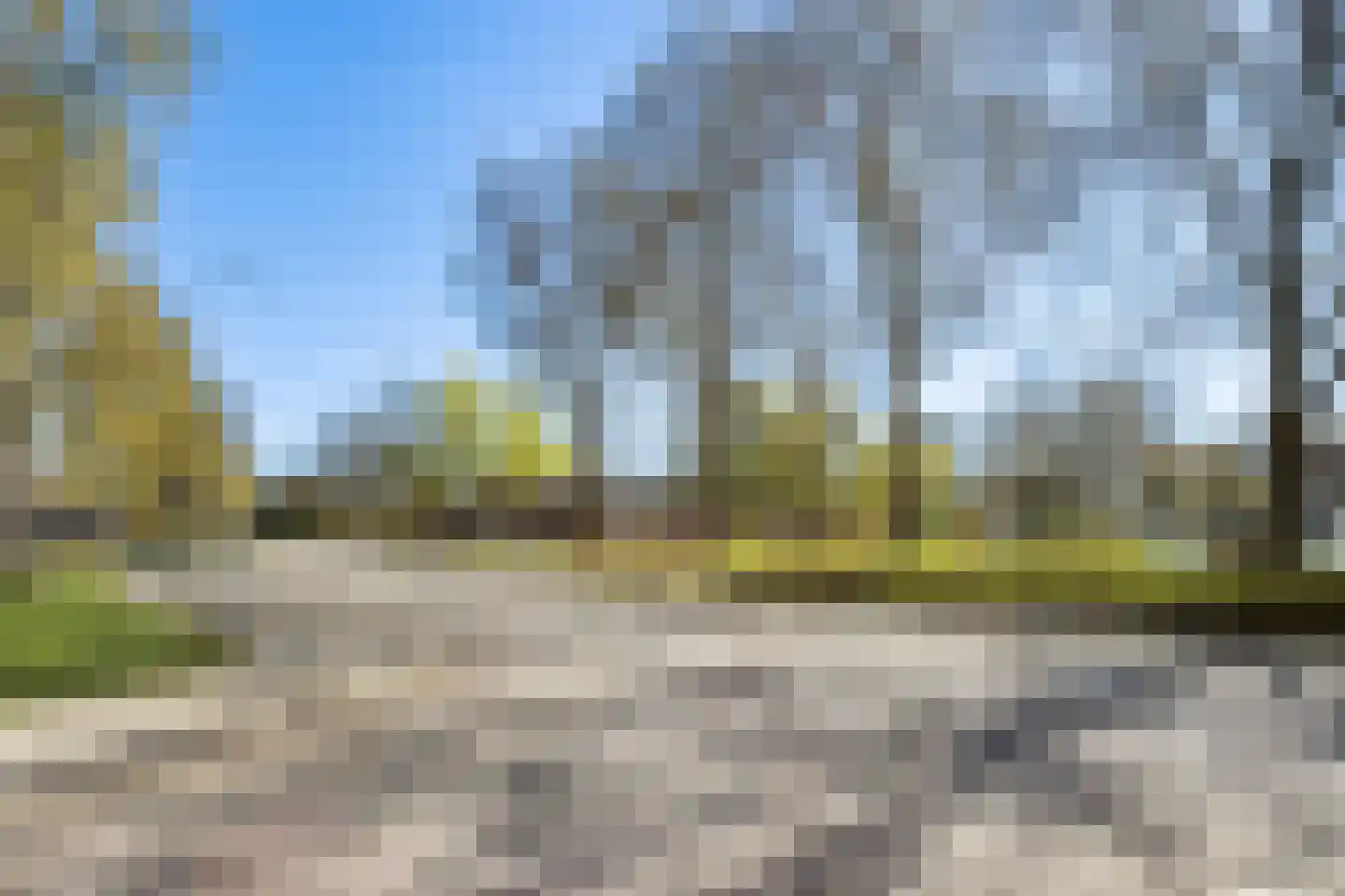 Kalmoesstraat 189 Apeldoorn thumbnail 39